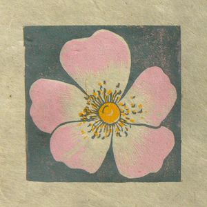 Dog Rose mini print, Striped Pebble