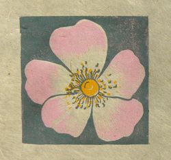 Dog Rose mini print, Striped Pebble