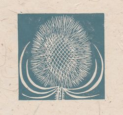 Teasel seed head mini print, Striped Pebble