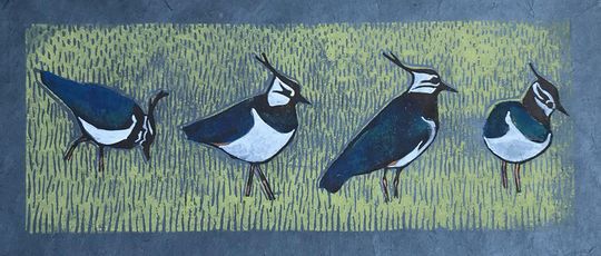 Lapwings on blue, Striped Pebble