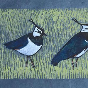 Lapwings on blue, Striped Pebble