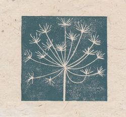 Cow parsley seed head mini print, Striped Pebble