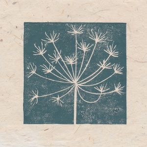 Cow parsley seed head mini print, Striped Pebble