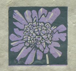 Scabious mini linocut print, Striped Pebble