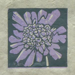 Scabious mini linocut print, Striped Pebble