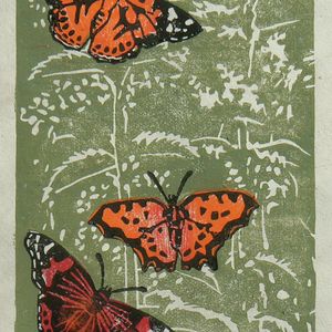 Butterflies on Nettles, Striped Pebble